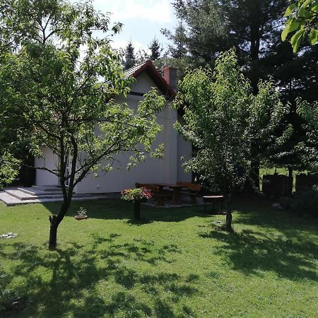 Domek Pod Karpaczem Mysłakowice Extérieur photo