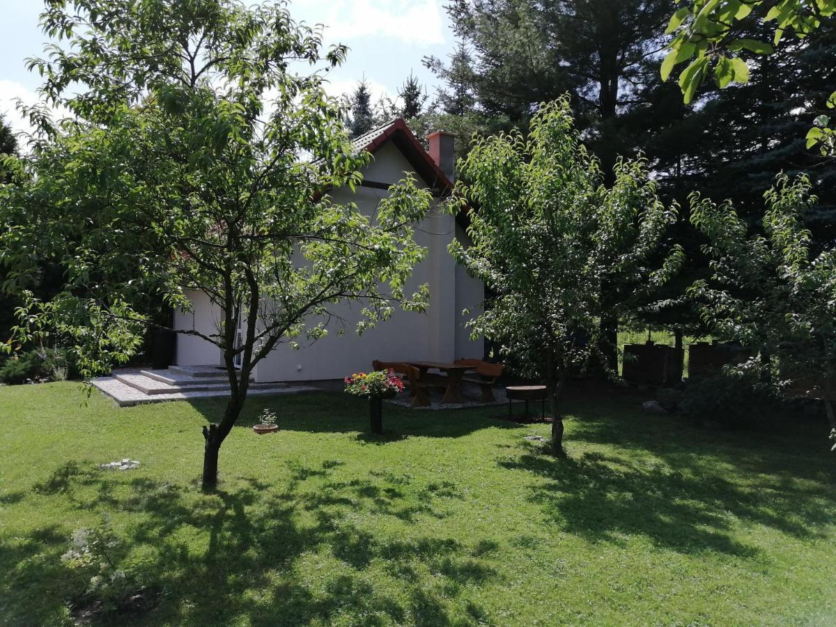 Domek Pod Karpaczem Mysłakowice Extérieur photo
